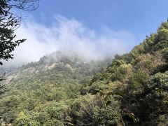 -黄山翡翠谷景区