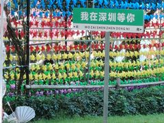 -青青世界