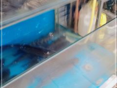 -小唐小四川水煮鱼(北三路店)