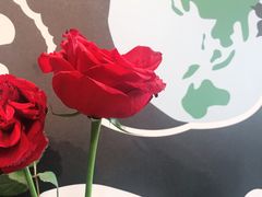-Dal Cuore 达可芮冰淇淋(陕西北路店)