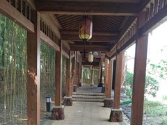 -东海森林温泉