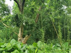 -福建鲤鱼洲酒店