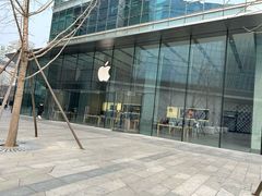 -Apple零售店(华贸购物中心店)
