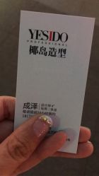 -YESIDO椰岛造型