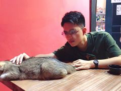 -猫色咖啡·猫咖