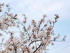 -玉满堂·湖北融合菜