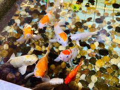 -嘉年华会水疗会(大剧院站E出口店)