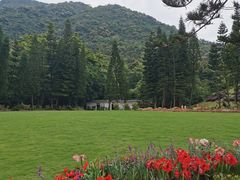 -深圳仙湖植物园-停车场