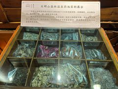 -宁海森林温泉