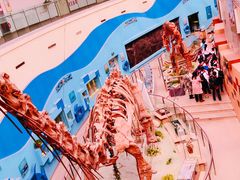 -陕西自然博物馆