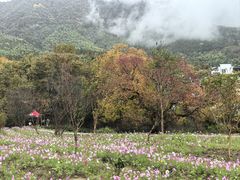 -塔川景区