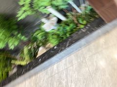 -俏东方·海味水饺·青岛菜(崂山店)