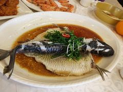 -御满江海鲜酒家(洛溪新城店)