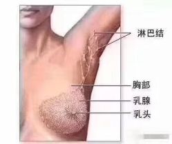 点击看大图 -香薇妮丝女子减肥院