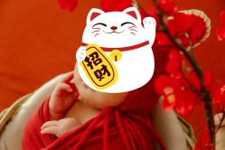 点击看大图 -金色童年新生儿满月摄影(包头店)