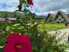 -白川乡与五箇山的合掌构造村落