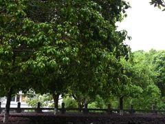 -古田会议纪念馆