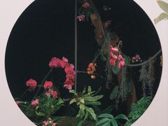 -昆明植物园