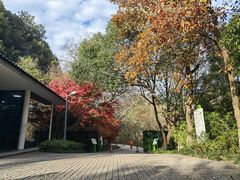 -西湖风景区-江洋畈生态公园