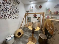 -楼上猫咖(罗湖店)