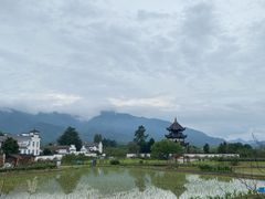 -黄牛肉馆·皖南土菜