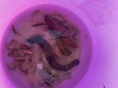 -三亚太阳湾柏悦酒店