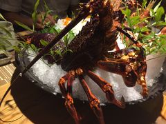 -酒井酱子·深夜食堂(东城汇店)