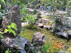 -绿色菜园·农家土菜(贤山店)