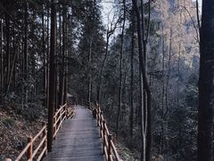 -张家界天门山国家森林公园
