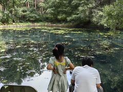 -黑龙江省森林植物园