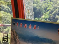 -牛背梁国家森林公园