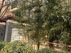-固安来康郡来康温泉