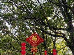 -西湖公园(鼓楼区)
