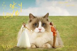 -MAO亲爱的猫婚纱摄影工作室