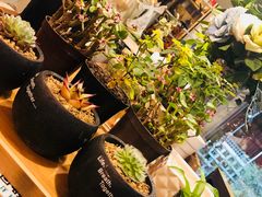 -Kitchen·Y洋厨房西餐厅(王府壹号店)