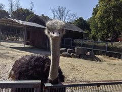 -苏州上方山国家森林公园