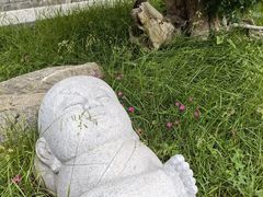-天津大悲禅院