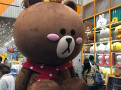 -line friends(明洞旗舰店)