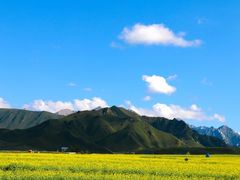 -扁都口生态休闲旅游区