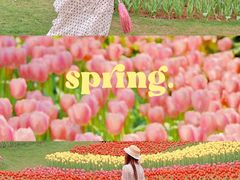 -艾溪湖湿地公园