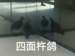 -麦当劳(未来城购物中心店)