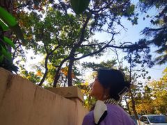 -八大关景区