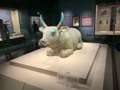 -宁夏博物馆
