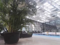 -北京朝阳悠唐皇冠假日酒店