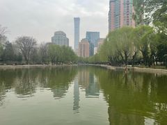 -团结湖公园