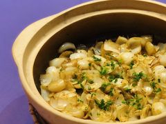 砂锅焗百合-张福记(陇海中路店)