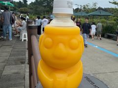 -柱状节理带