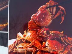 -簋街仔仔小龙虾(总店)