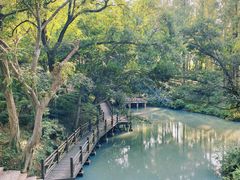 -塔川景区