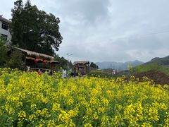 -新安江山水画廊风景区